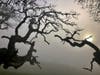 Stafford Lake​ Park in Novato, California 