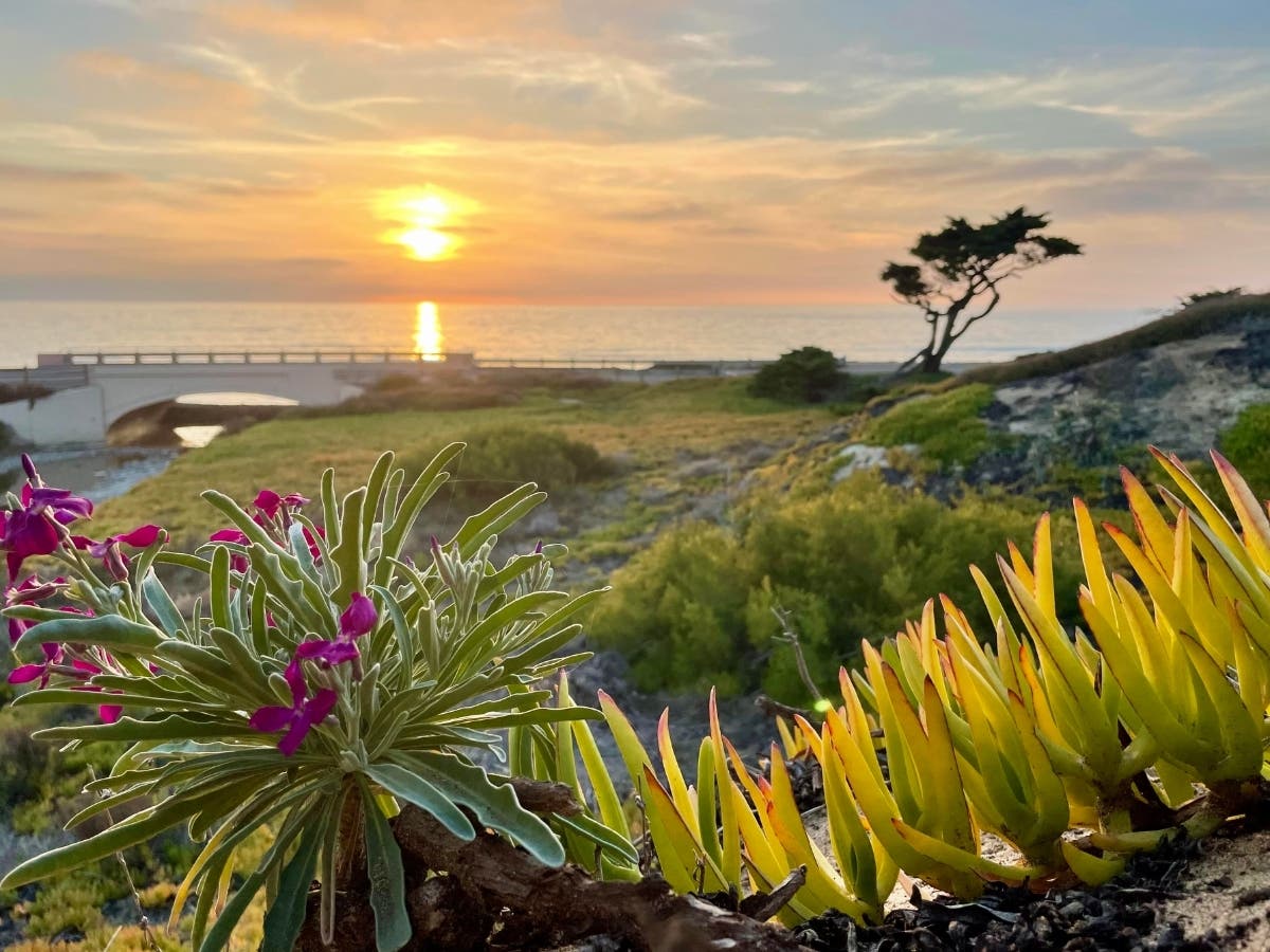 Carlsbad, California 