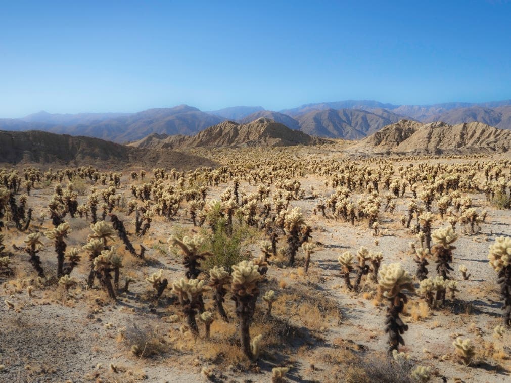 Anza-Borrego Desert State Park in San Diego County
