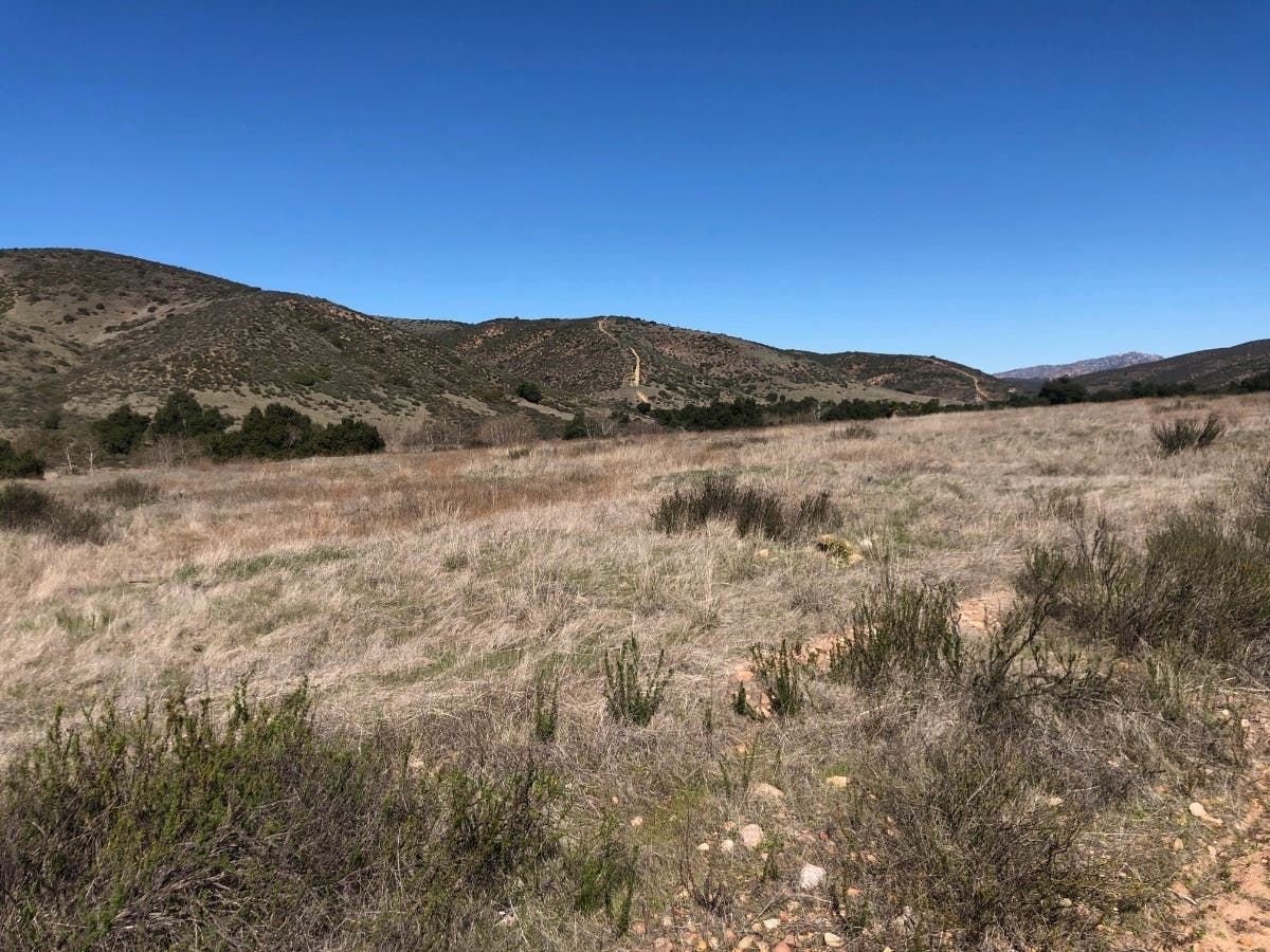 Sycamore Canyon Open Space Preserve​
