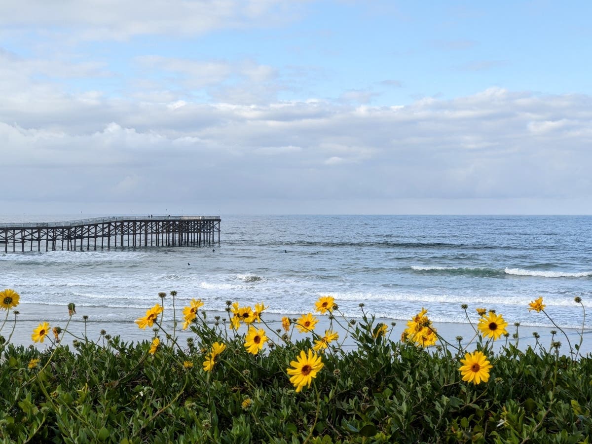 Pacific Beach, California 