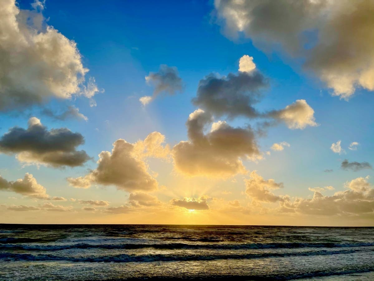 Cerezo Bluffs in Carlsbad, California 
