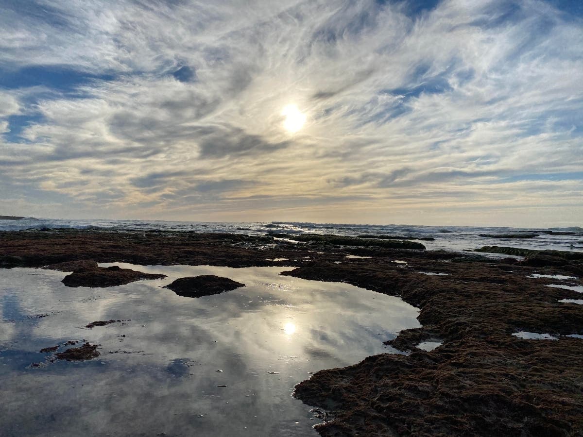 La Jolla, California 