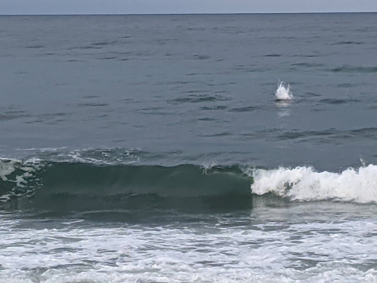 South Ponto Beach in Carlsbad, California 