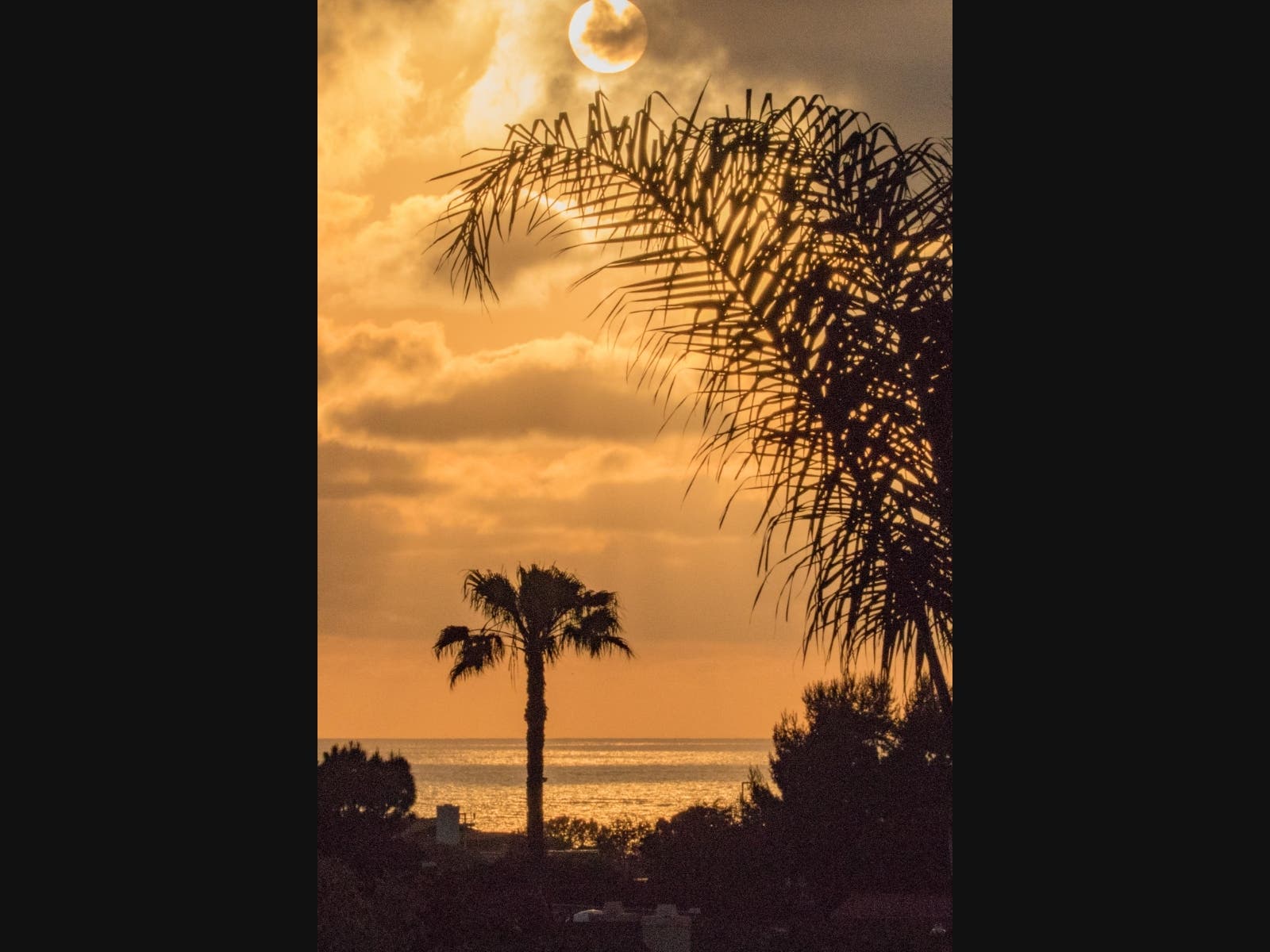 Carlsbad, California 