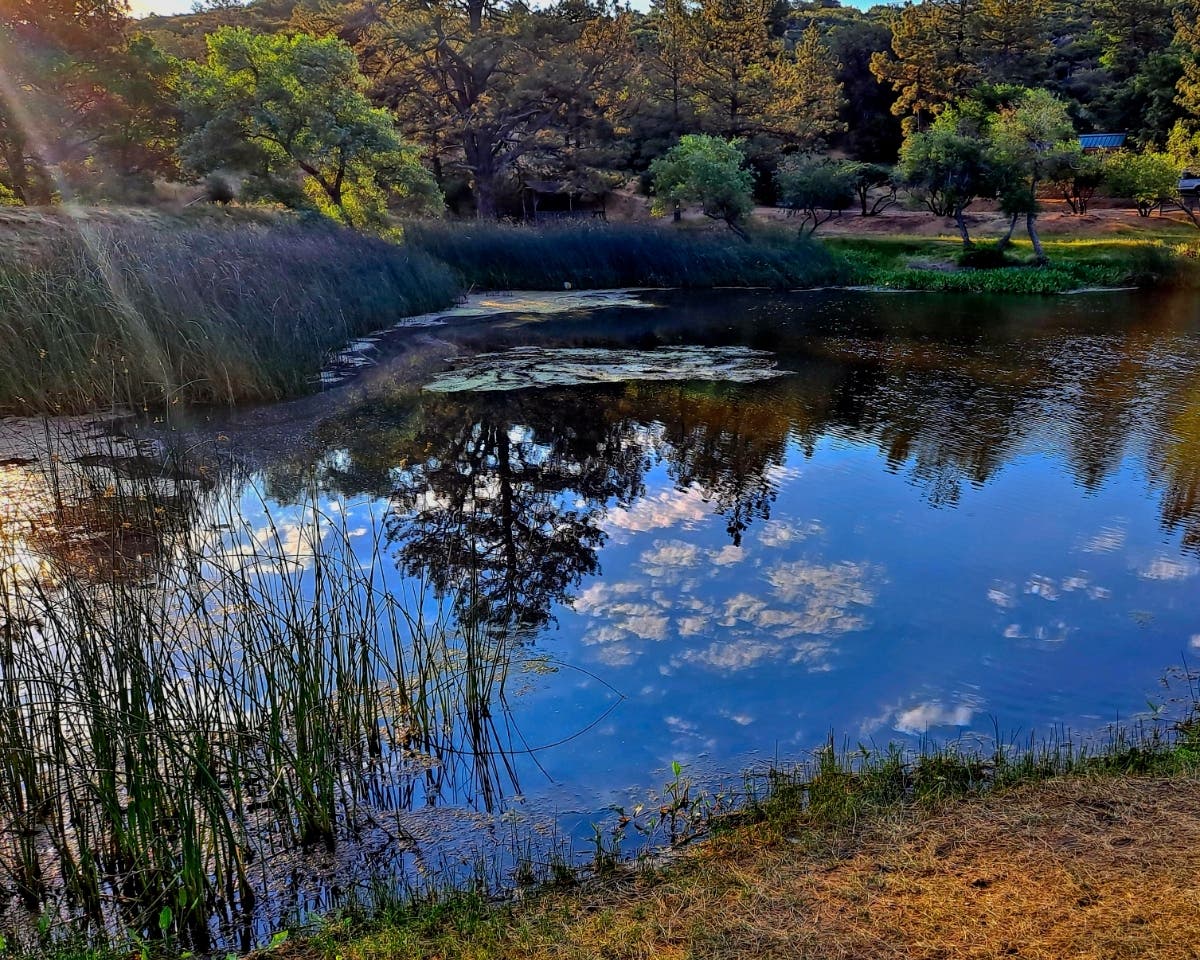 A pond at KQ Ranch RV Camping Resort​ in Julian, California.