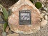 Patricia and Mike McCoy are environmental activists living in Imperial Beach, California. 