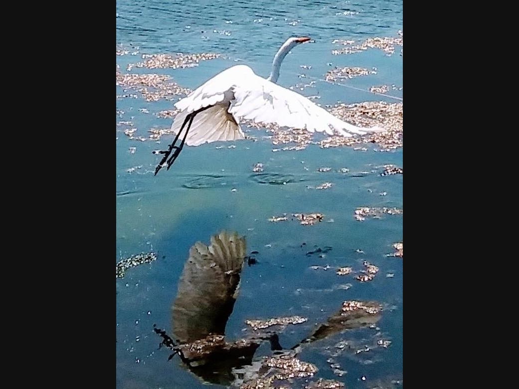 Santee Lakes in Santee, California 
