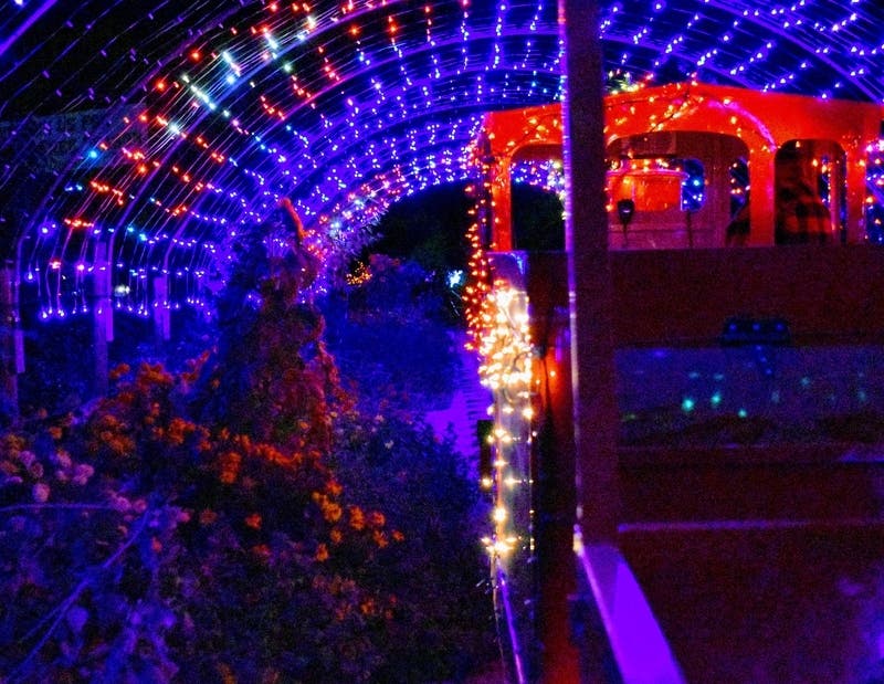 See what's slated this weekend from Saturday, Dec. 18 to Sunday, Dec. 19.