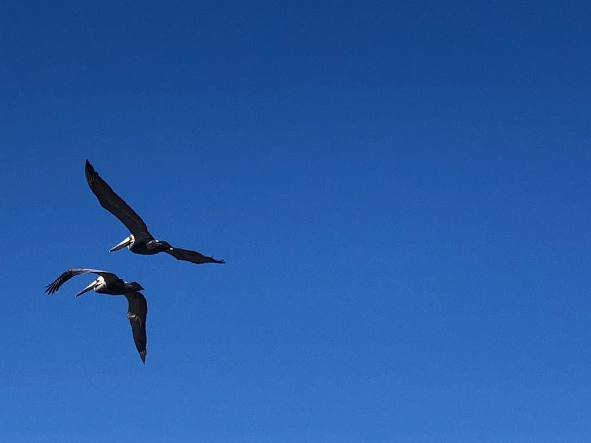 Blue skies over Carlsbad, California. 