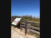 A squirrel at the beach in Carlsbad, California. 