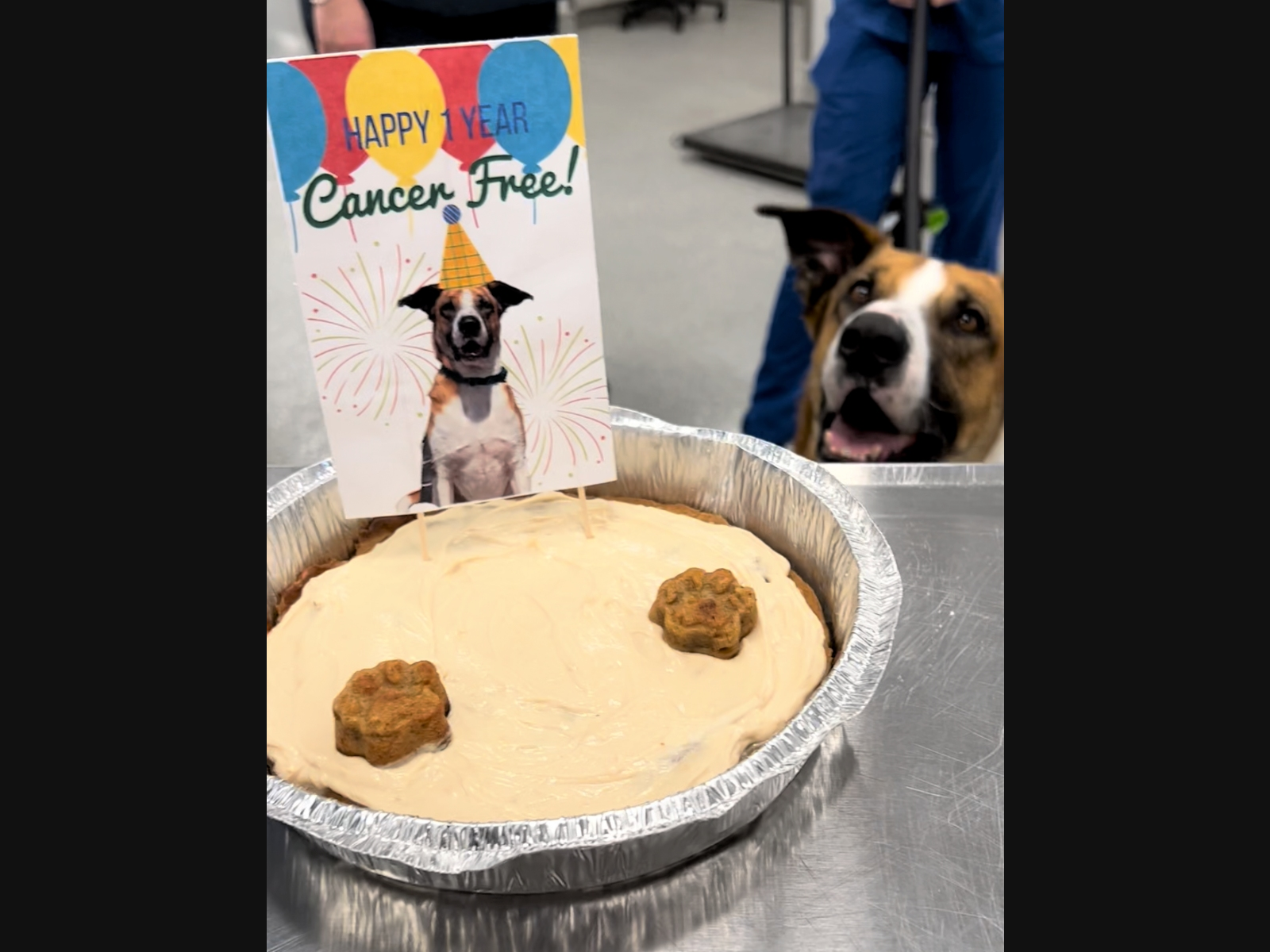 https://patch.com/img/cdn20/users/54855/20220404/022842/styles/patch_image/public/phoenixcancerfreepartysdhs4122-9___04135637870.png