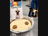 San Diego Humane Society’s medical team celebrated the one-year cancer-free anniversary of Phoenix at the Pilar & Chuck Bahde Center for Shelter Medicine.