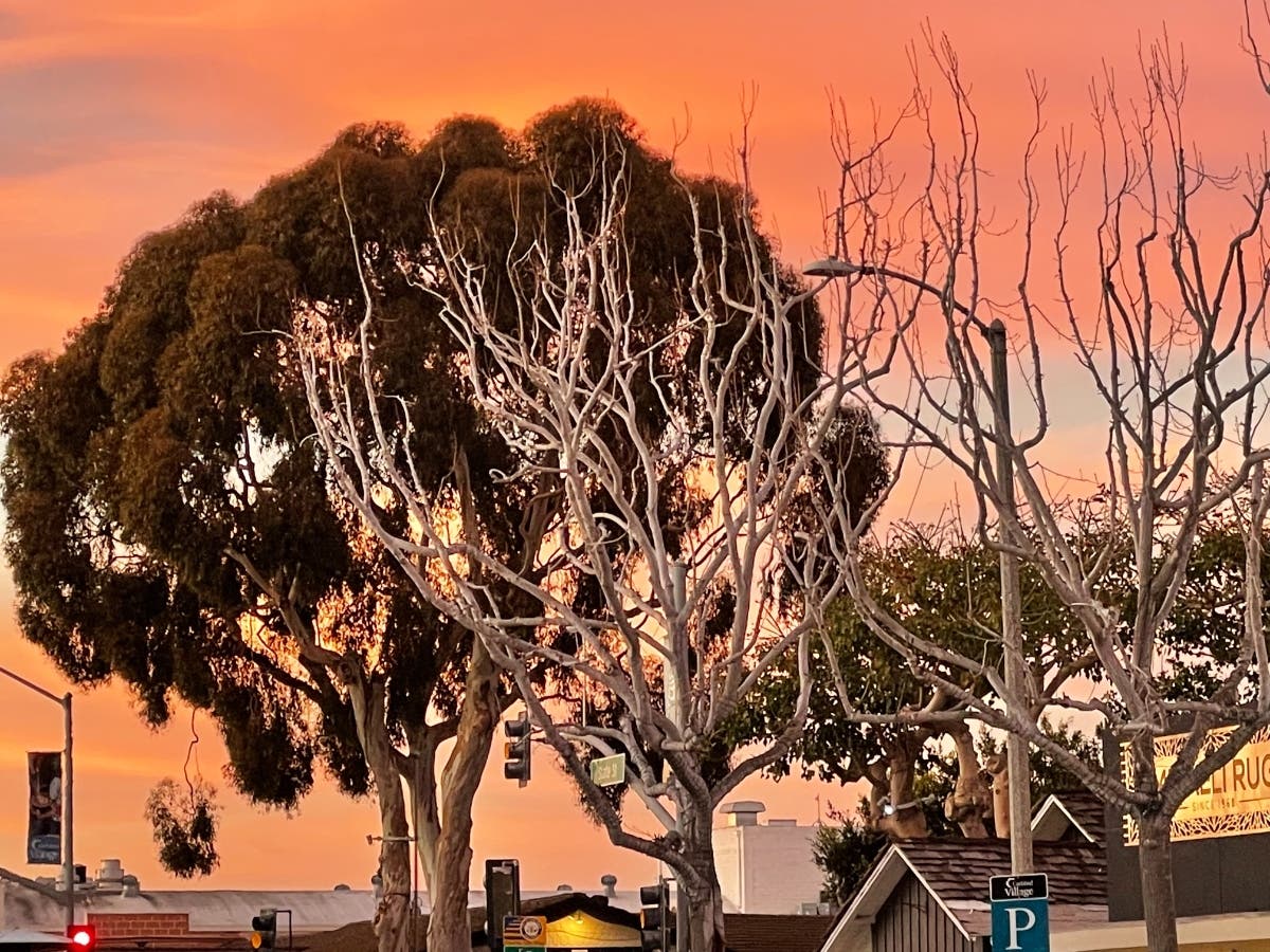 Sunset in Carlsbad, California. 