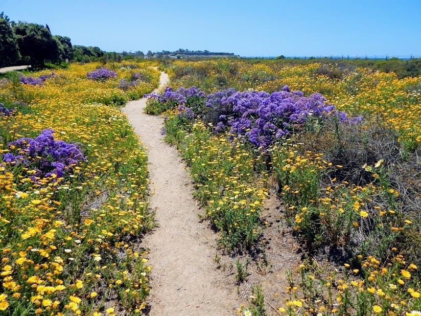 The Coastal Rail Trail in Carlsbad, California. 