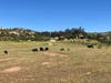Barnett Ranch Preserve in Ramona, California. 