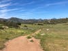 Barnett Ranch Preserve in Ramona, California. 