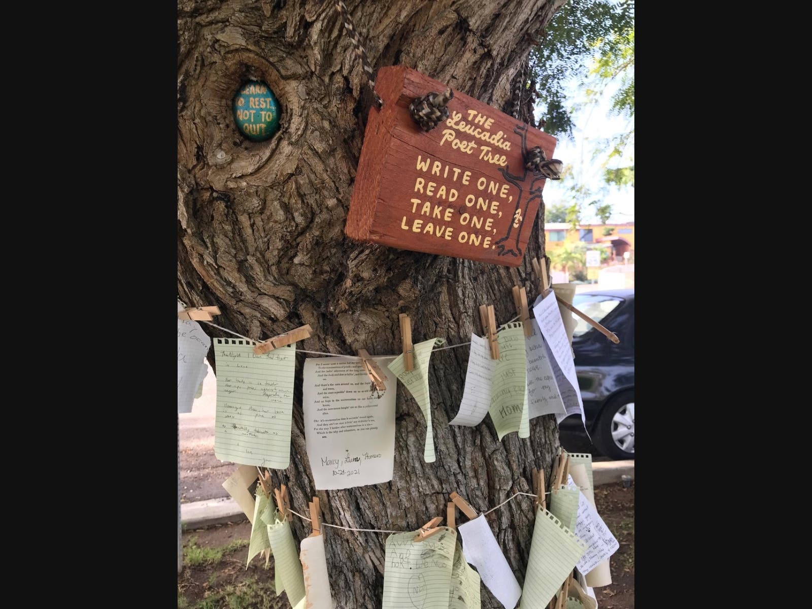 "The Leucadi​a Poet Tree" in Encinitas, California. 