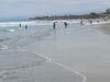 North Ponto Beach in Carlsbad, California. 