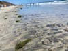 North Ponto Beach in Carlsbad, California. 