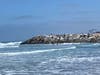 Carlsbad, California 