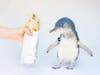 Little blue penguins are about 12 inches tall and weigh 2 to 3 pounds. They are known for their slate-blue plumage.