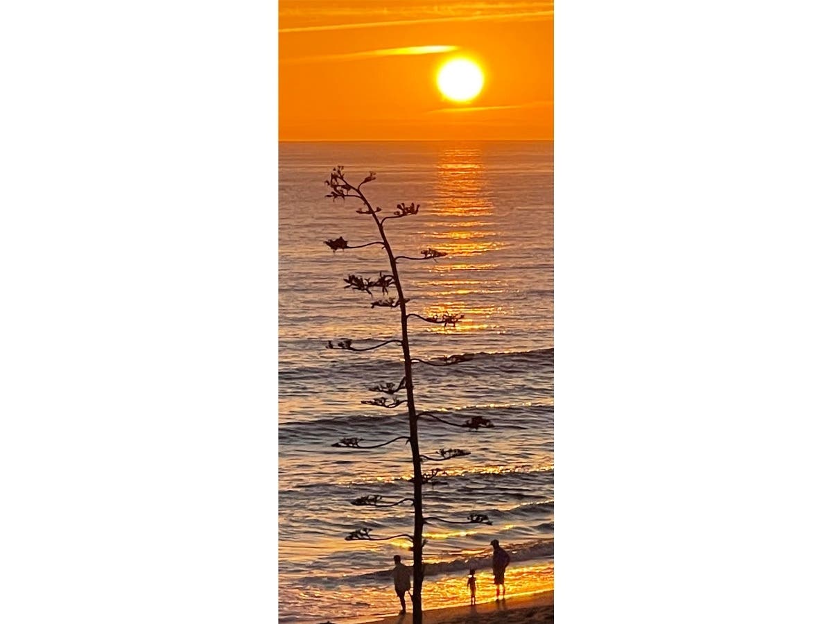 Sunset at Carlsbad State Beach​ in Carlsbad, California. 