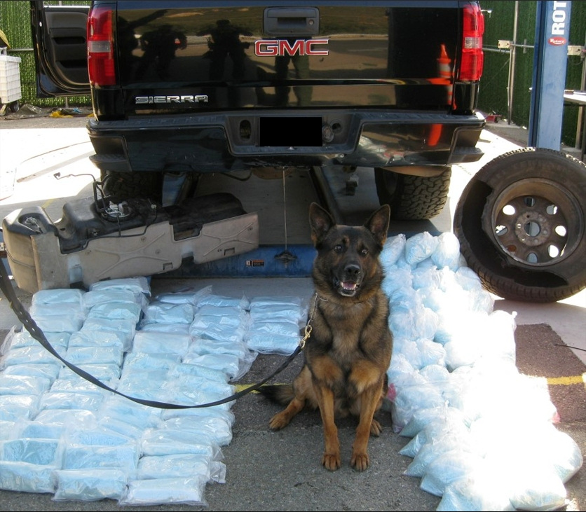 During a traffic stop, a Border Patrol K-9 alerted authorities to the possible presence of​ drugs in a black GMC truck. 