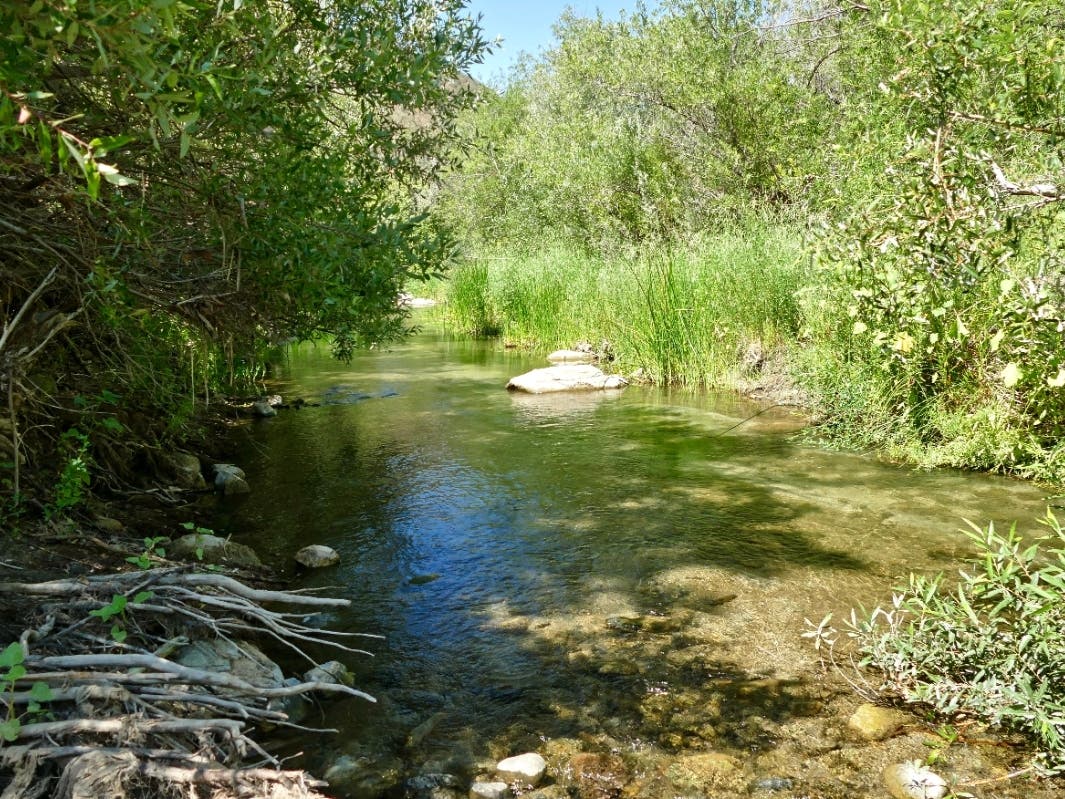 Santa Margarita County Preserve in Fallbrook, California. 