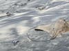 A stingray in Carlsbad, California. 