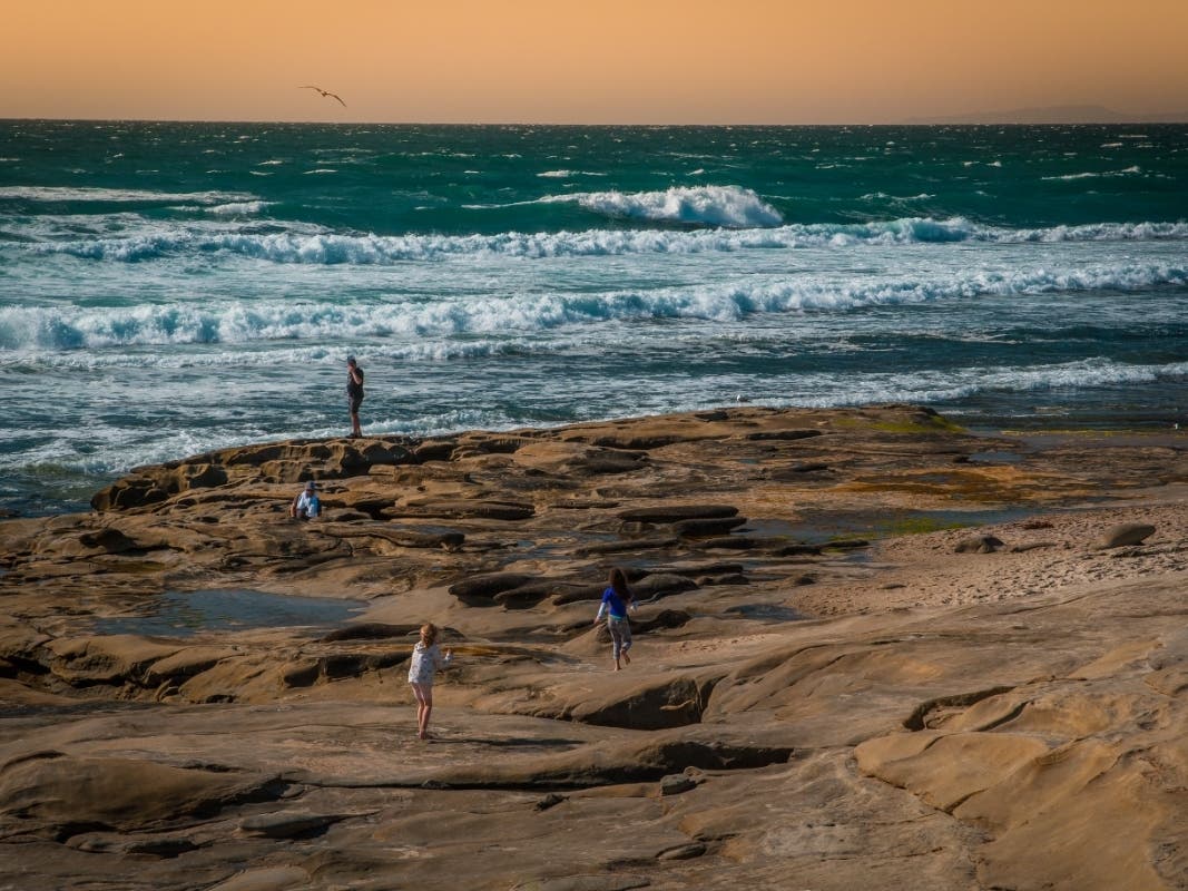 Tide pools in San Diego, California. 