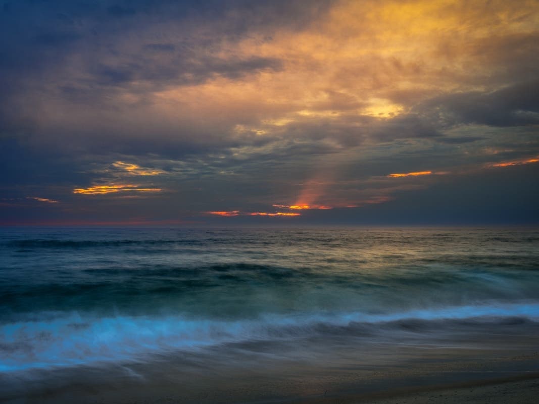 Carlsbad, California 