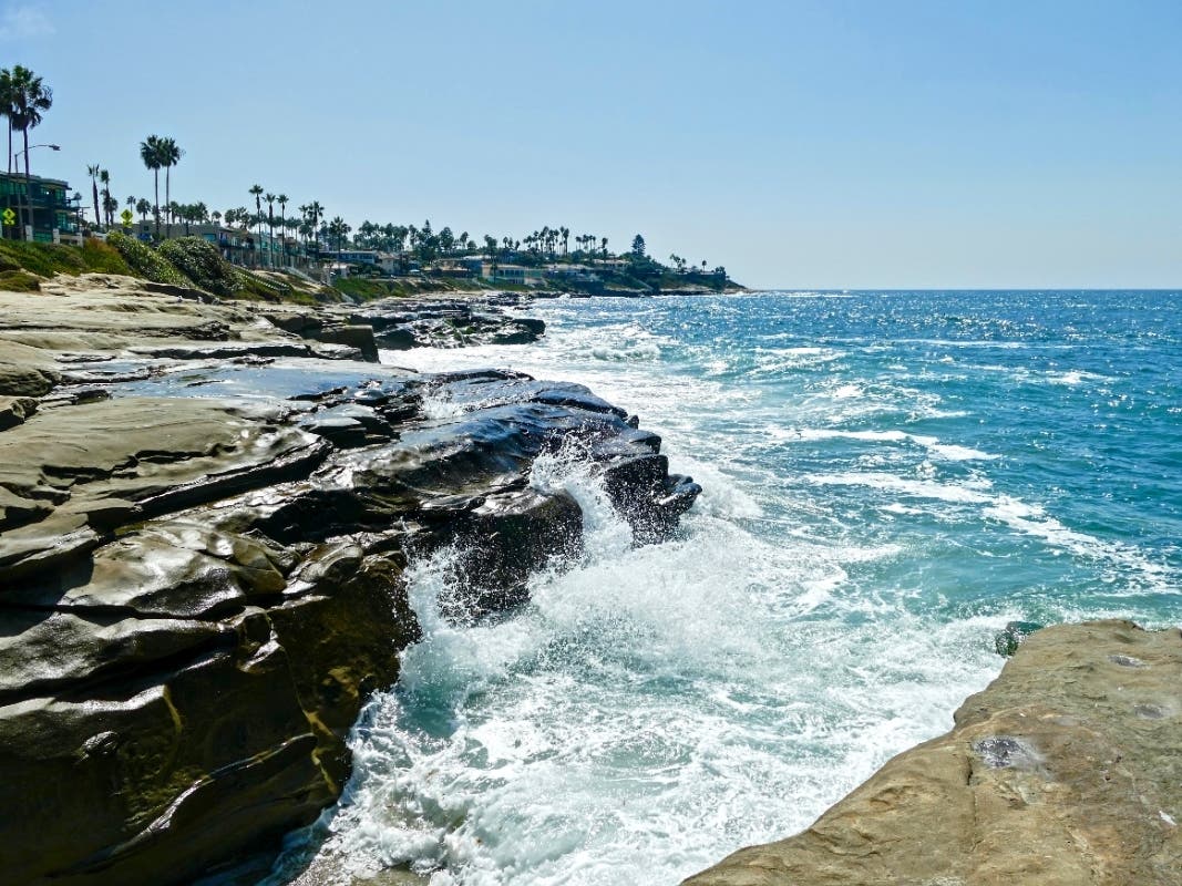 Windansea Beach in San Diego, California. 