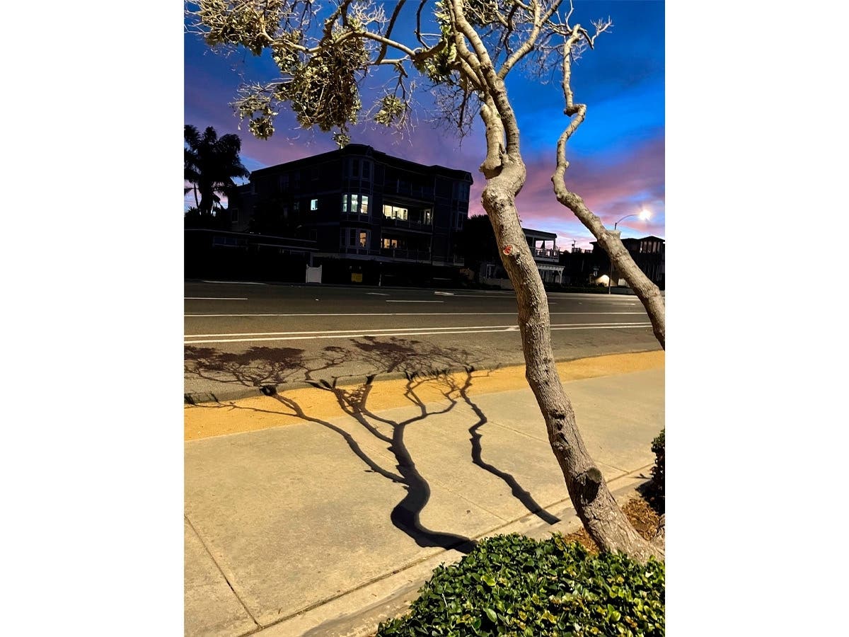 Carlsbad, California 