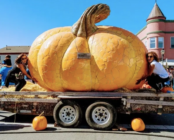 https://patch.com/img/cdn20/users/54855/20221013/110716/styles/patch_image/public/pumpkin-festival___13230630622.png