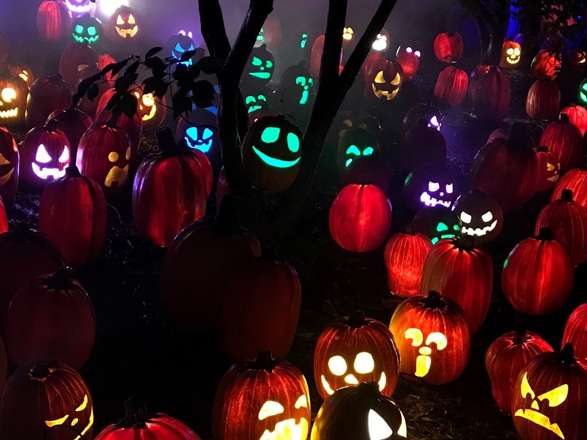 See what's slated this weekend from Saturday, Oct. 29 to Sunday, Oct. 30.