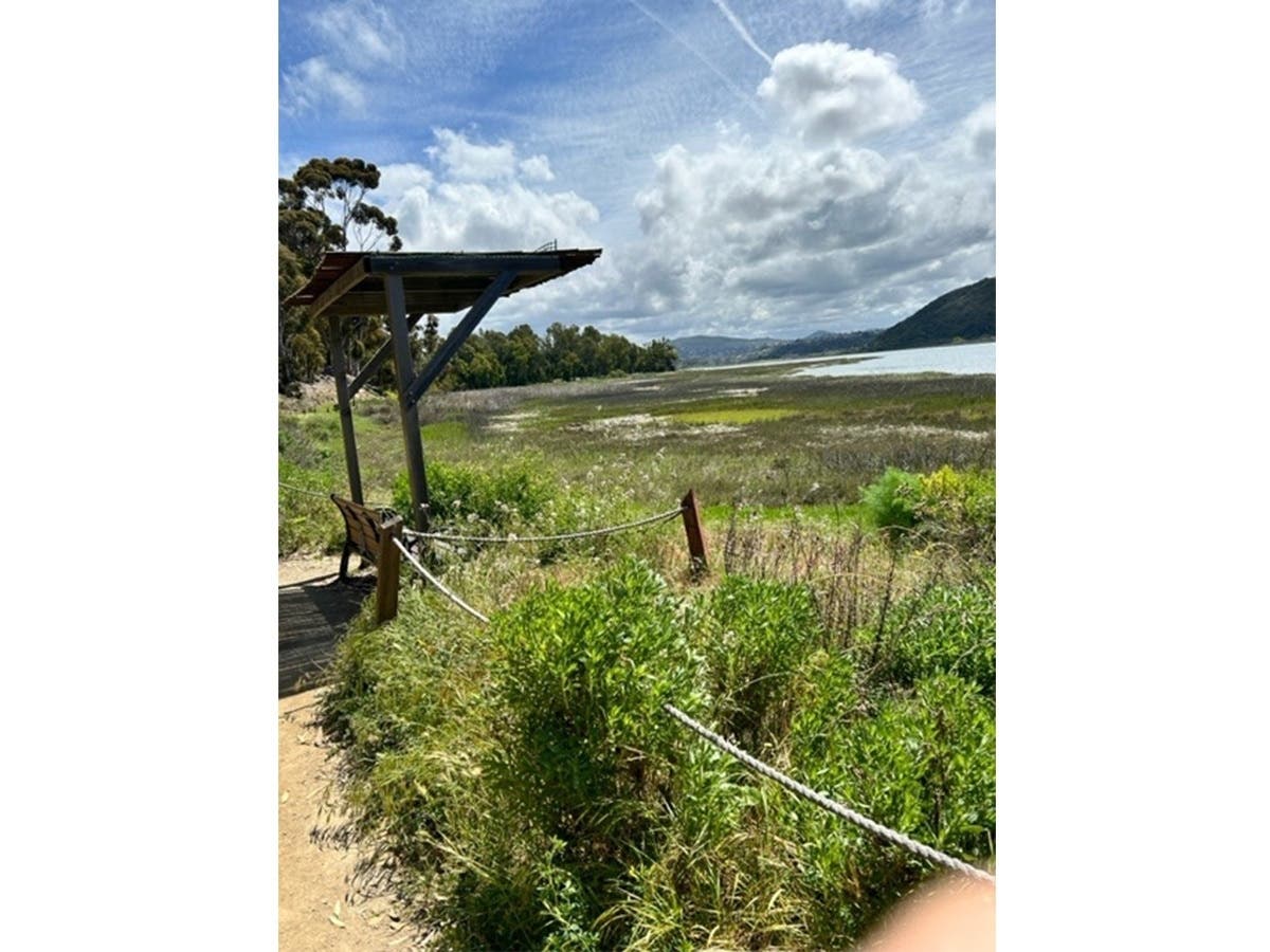 The view at Batiquitos Lagoon.