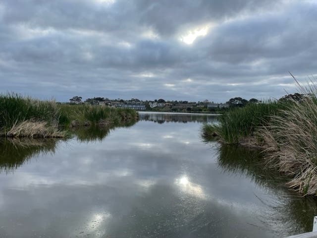 Buena Vista Lagoon is a freshwater lagoon in Carlsbad and Oceanside. 