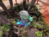The butterfly garden will help create, conserve and protect monarch habitats in the community. 