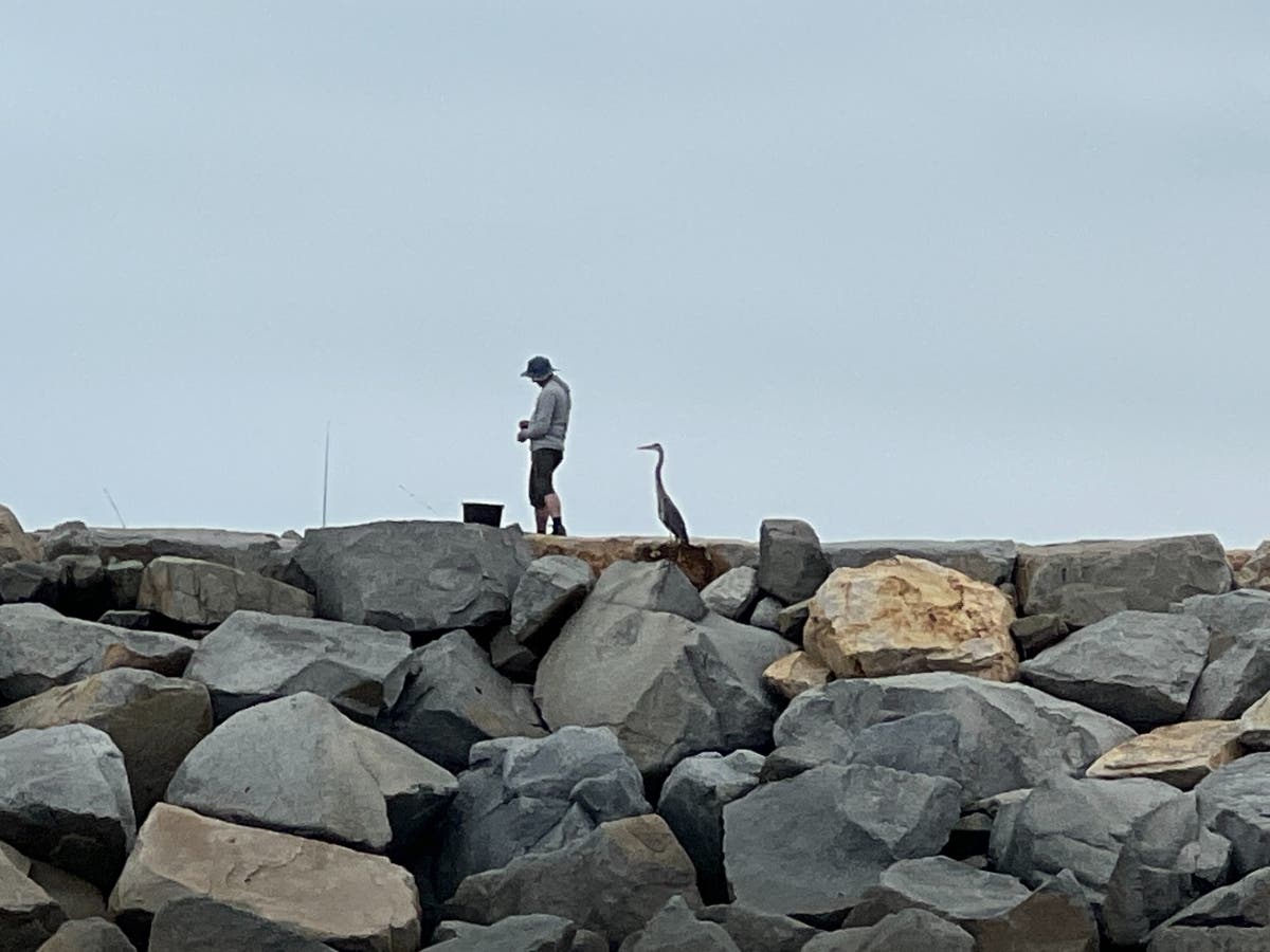 A man fishing in Carlsbad, California. 