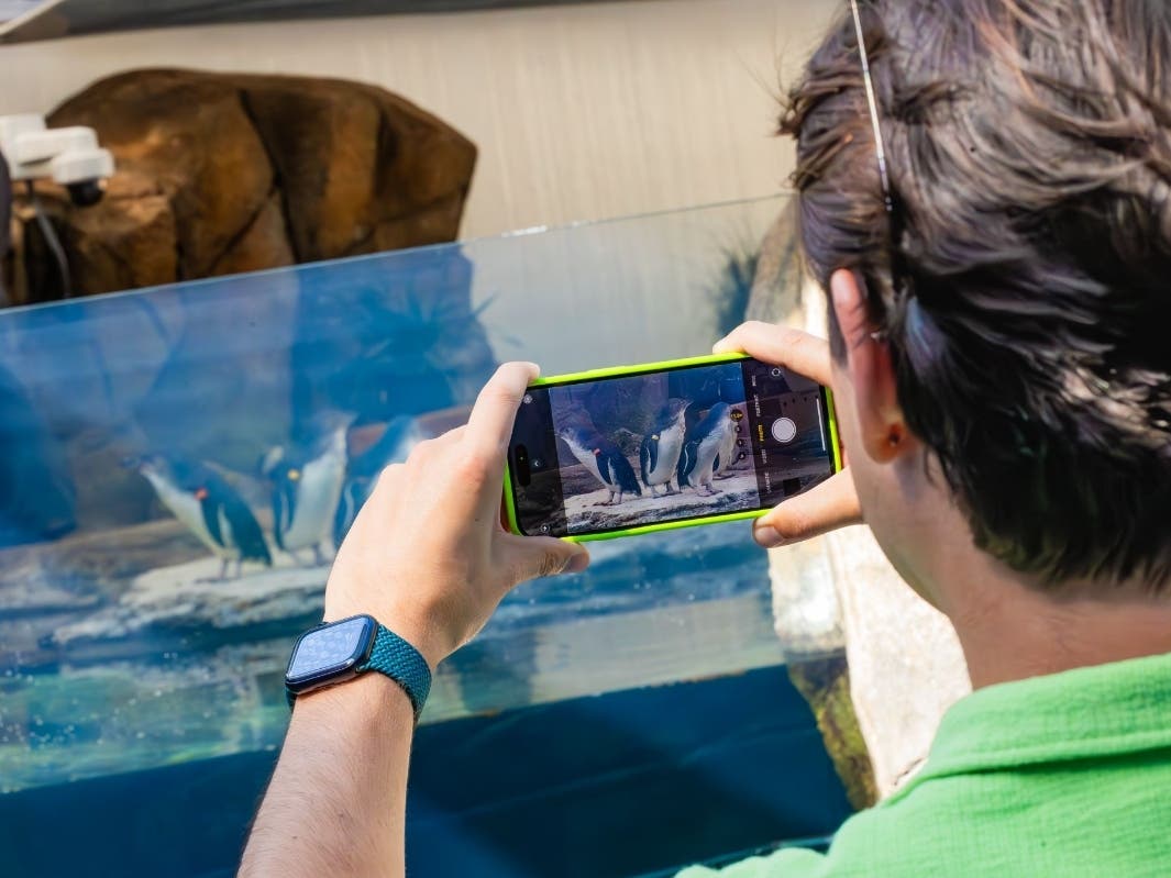 Birch Aquarium staff and volunteers will select five winning photos. 