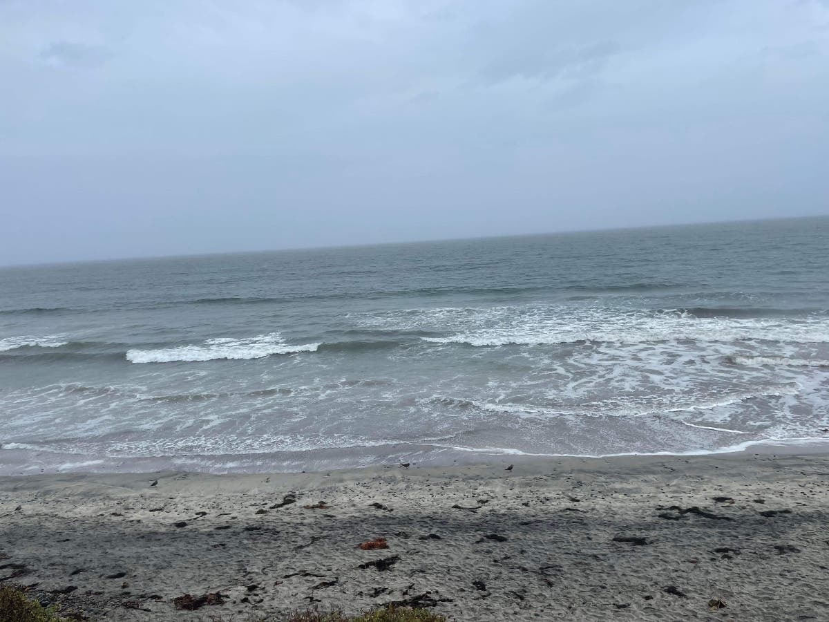 The beach in Carlsbad, California. 