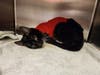 A cat who was found out on the street with a serious injury has a new lease on life after he was adopted by the very same people who found him homeless and wounded on the street.