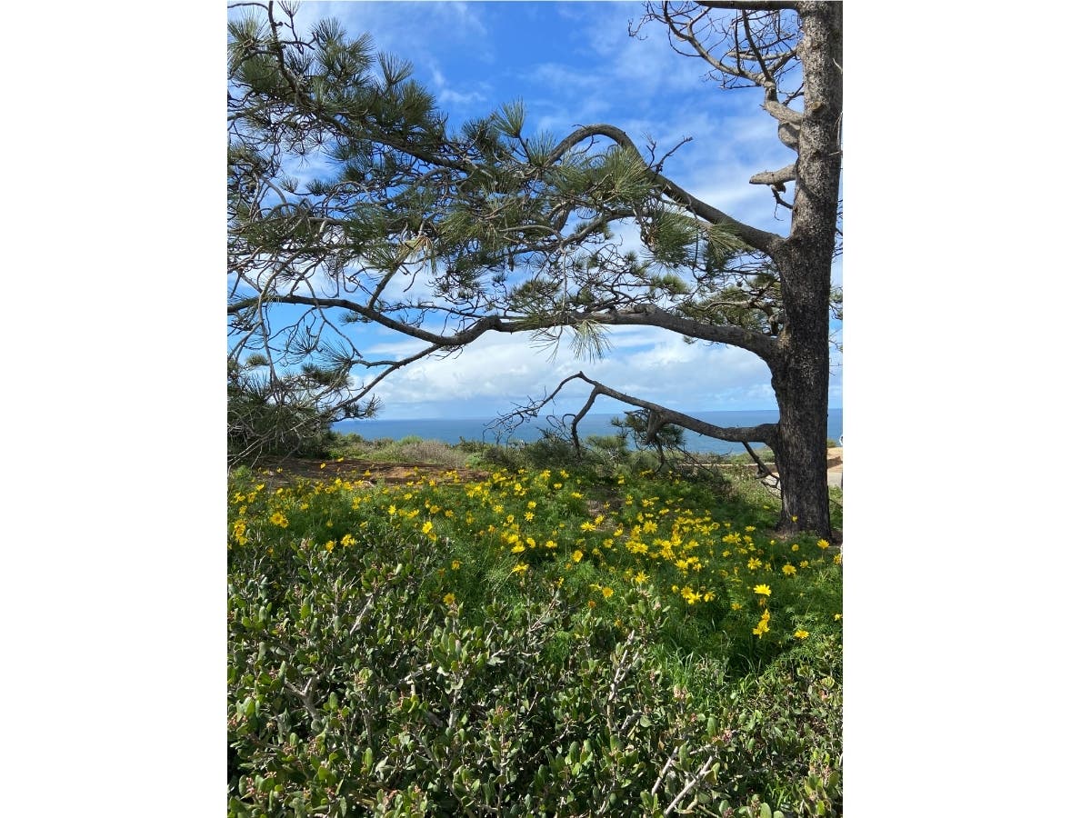 A view from Cabrillo National Monument in San Diego, California. 