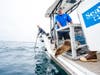 The SeaWorld San Diego Rescue Team rehabilitated and released a California​ sea lion.