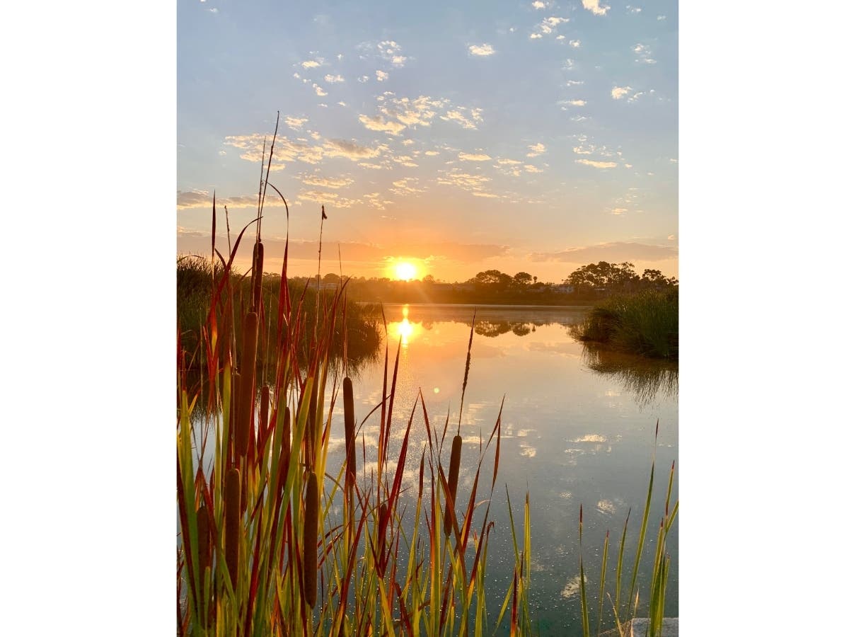 The sun rises over Buena Vista Lagoon. 