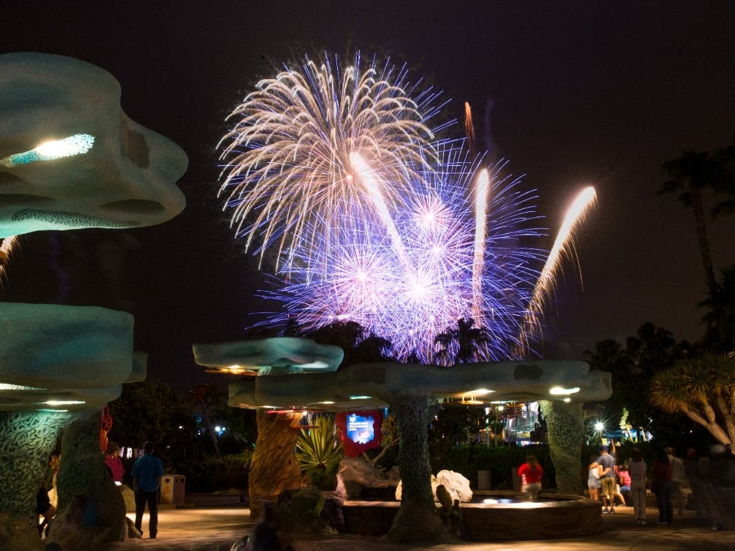 SWC, SWSD, Fireworks, skytower, front of park, sparklers, trails, night time, colorful, amazing, loud, manta, summer nights, colors,