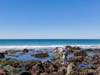Tidepooling Adventures will allow adventurers to explore local tide pools, which are home to a variety of animals including snails, mussels, urchins, sea stars, small fish and octopus.