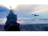 A Christmas tree on Cardiff Reef. 