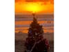 A Christmas tree on Cardiff Reef. 